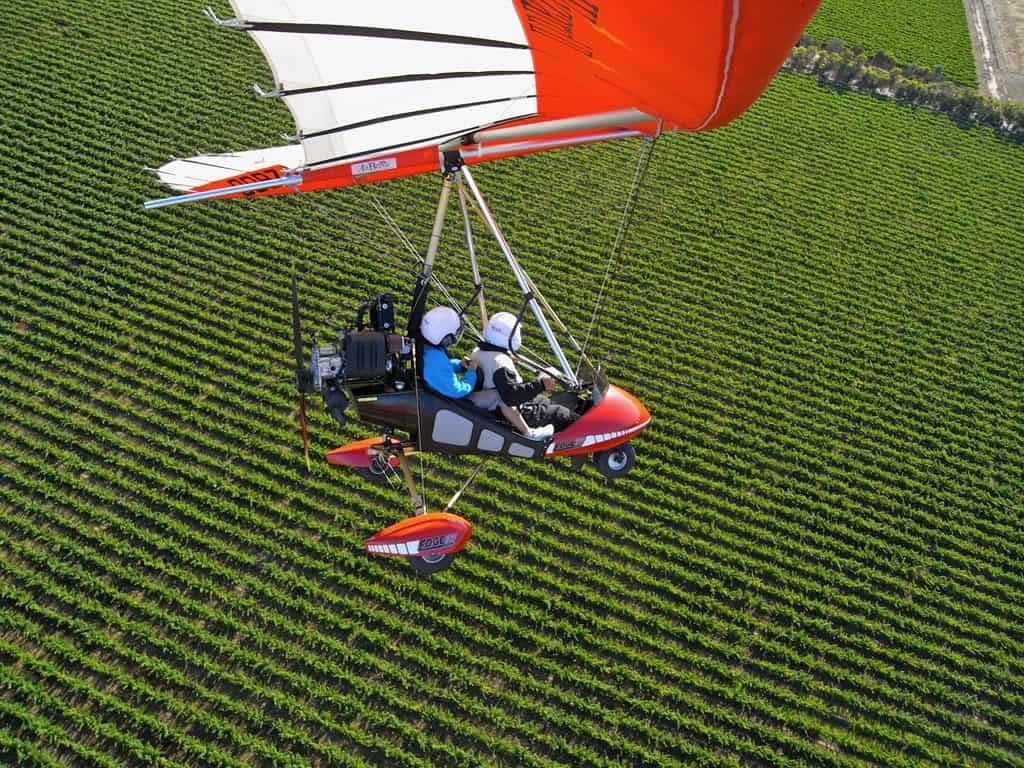 Taking a passenger in a microlight across the vinyards